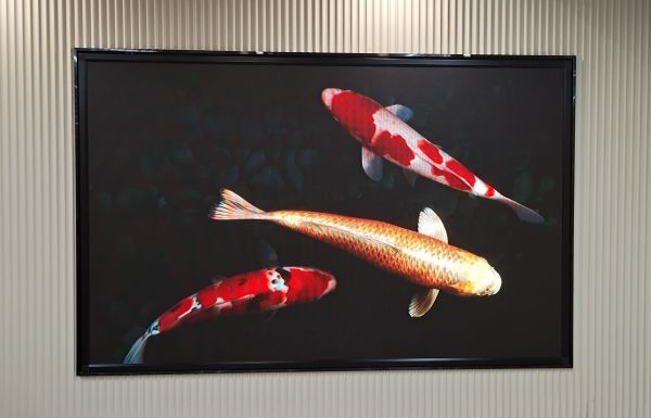 深圳羅湖區(qū)LED顯示屏項(xiàng)目